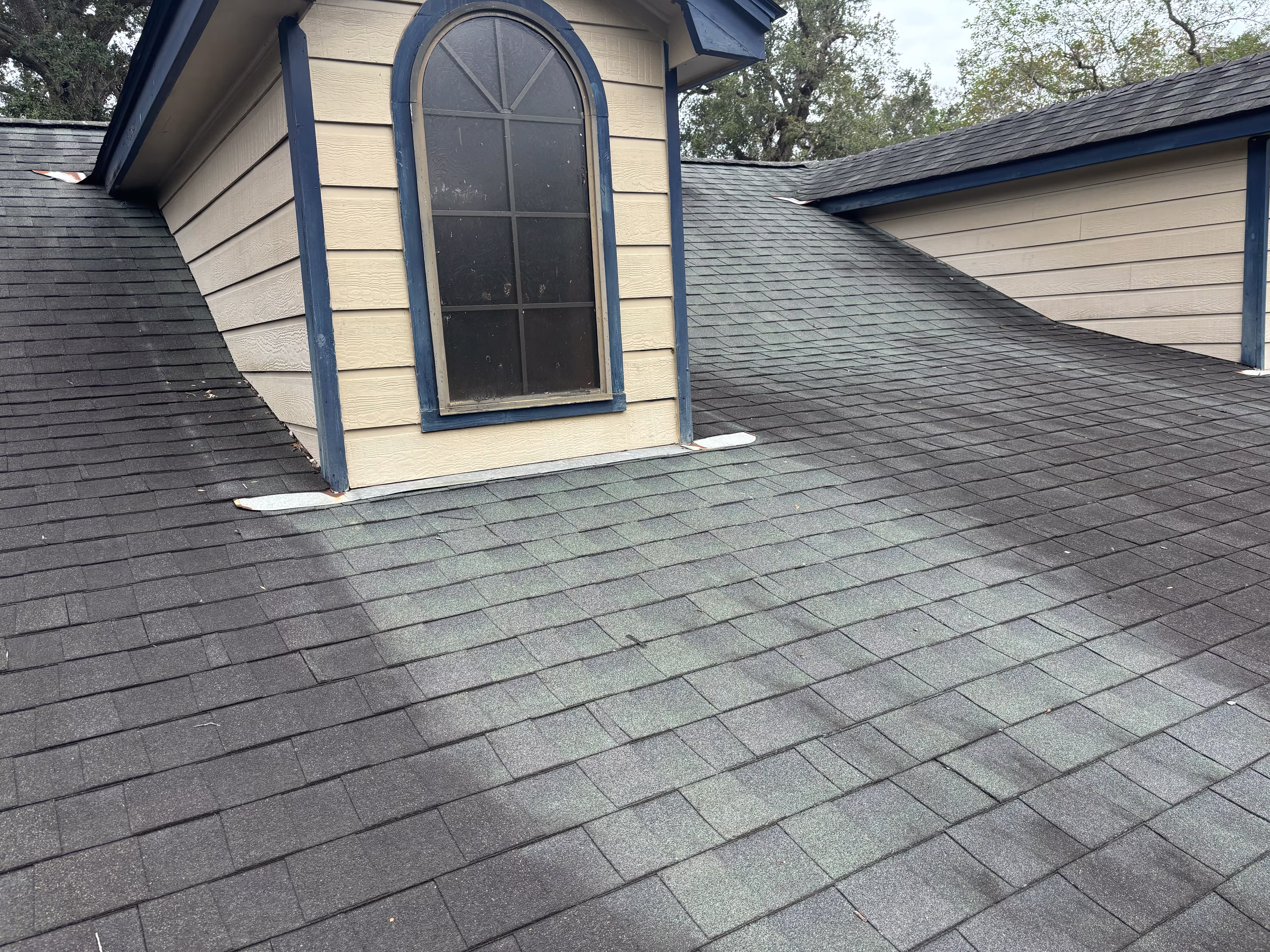 The Truth About Those Streaks on Your Roof: Understanding Algae Growth and Prevention in Houston